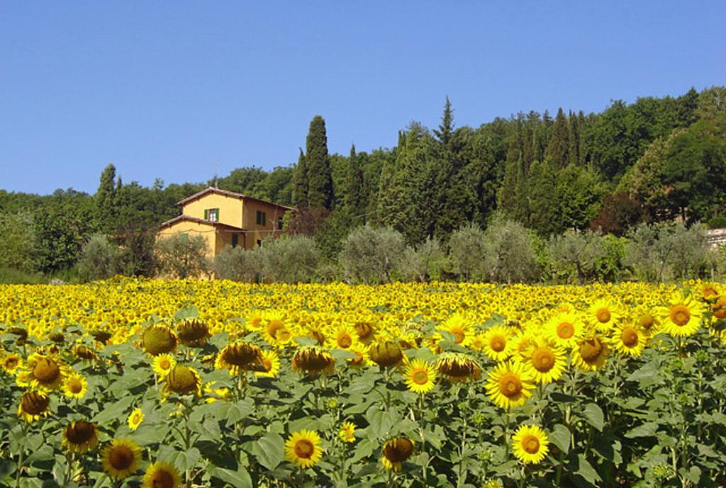 I Casali Del Trebbiolo Villa Molino del Piano Exterior foto